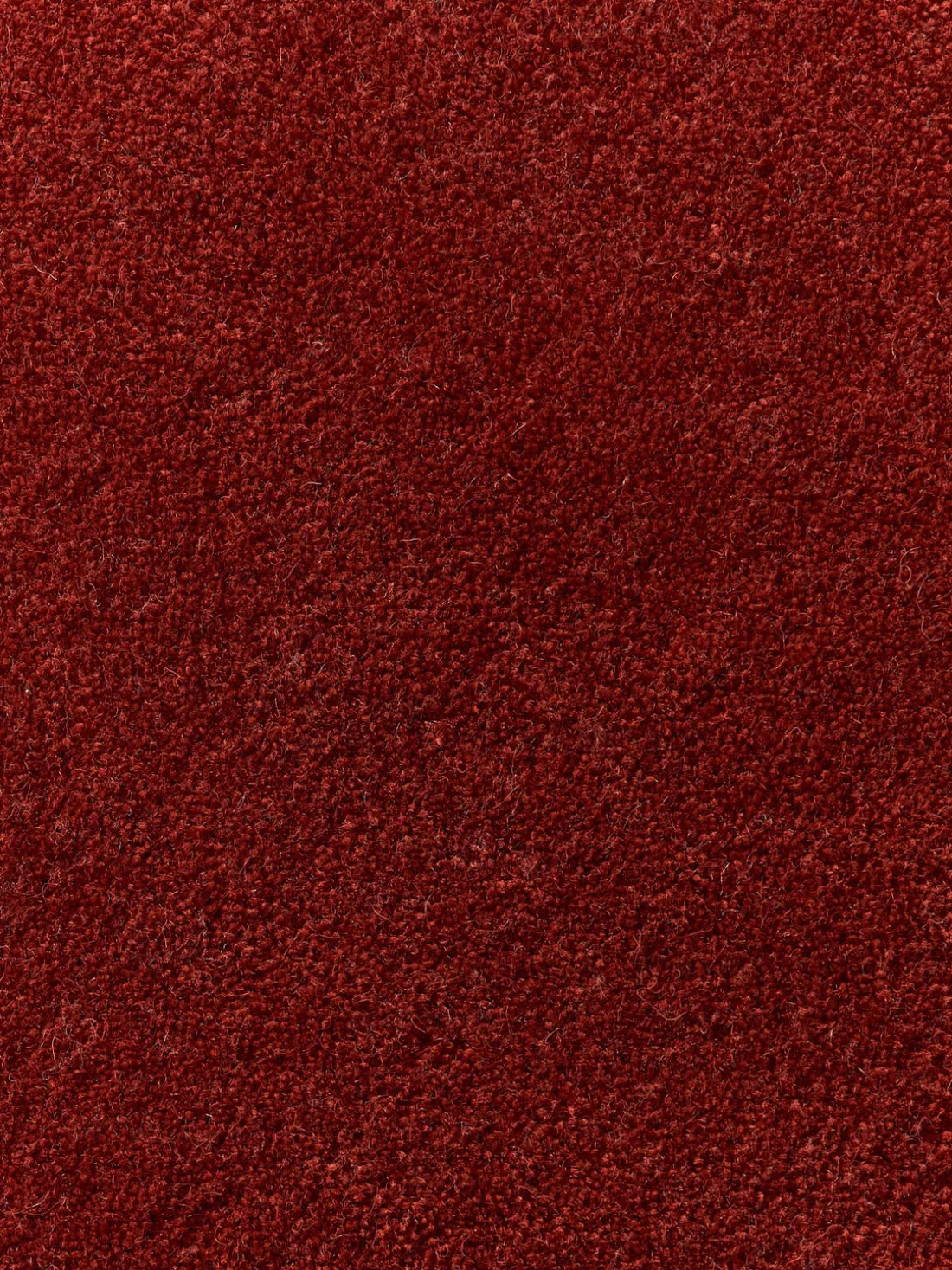 Alfombra de lana artesanal Zayne