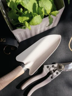 Alfombra de siembra Aziza