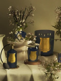 Ambientador artesanal en spray Reggio (mandarina)