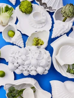 Bandeja de presentación Shell