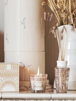 Caja de regalo My First Baobab Paris (glicina, mimosa y tilo), 2 pzas.