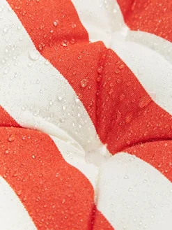 Cojines de asiento para exterior Cosby, 2 uds.