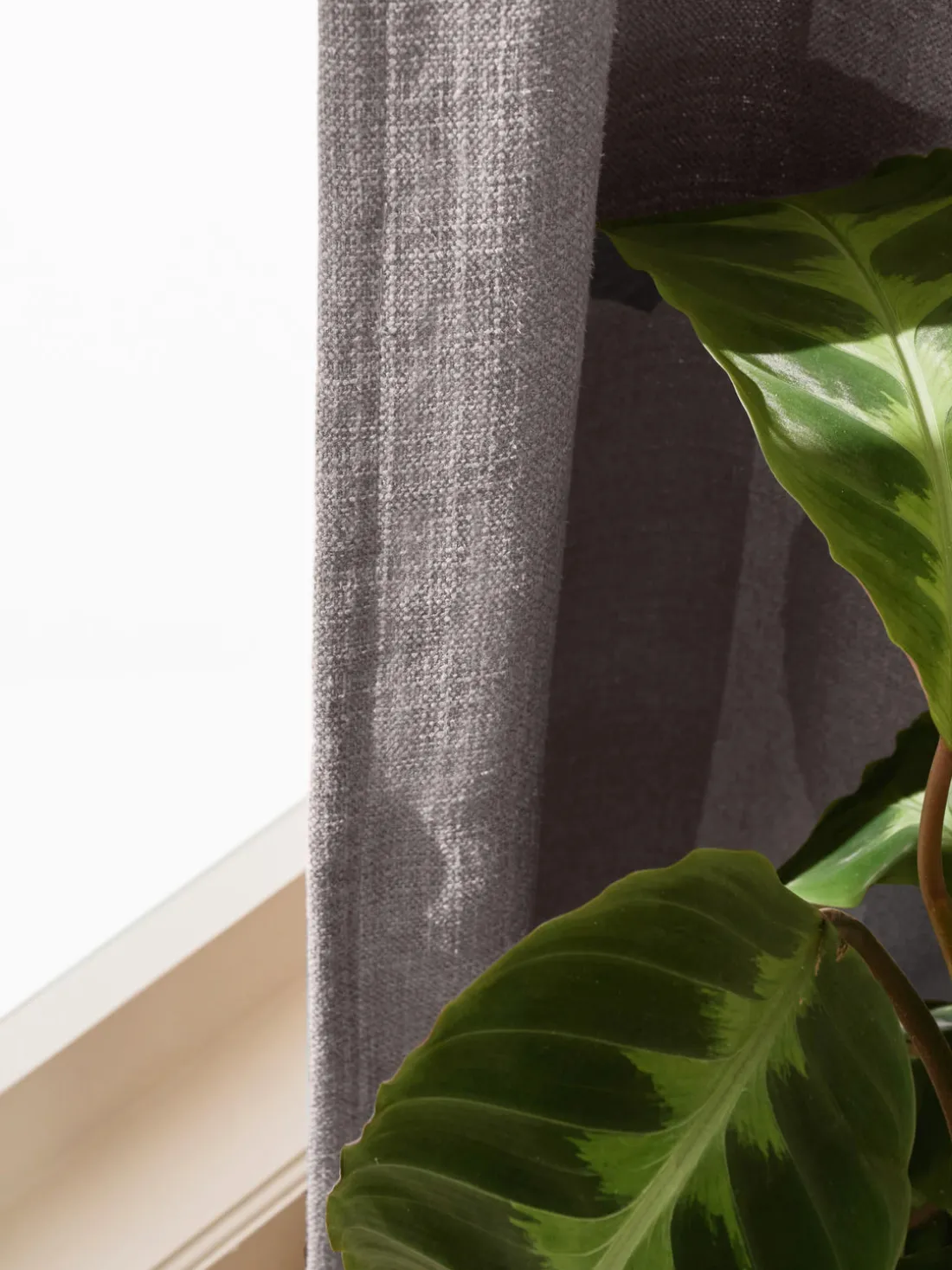 Cortinas opacas con multibanda Jensen, 2 uds.