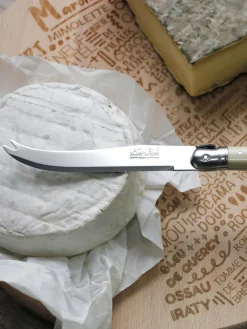 Cuchillos para queso Debutant, 2 uds.