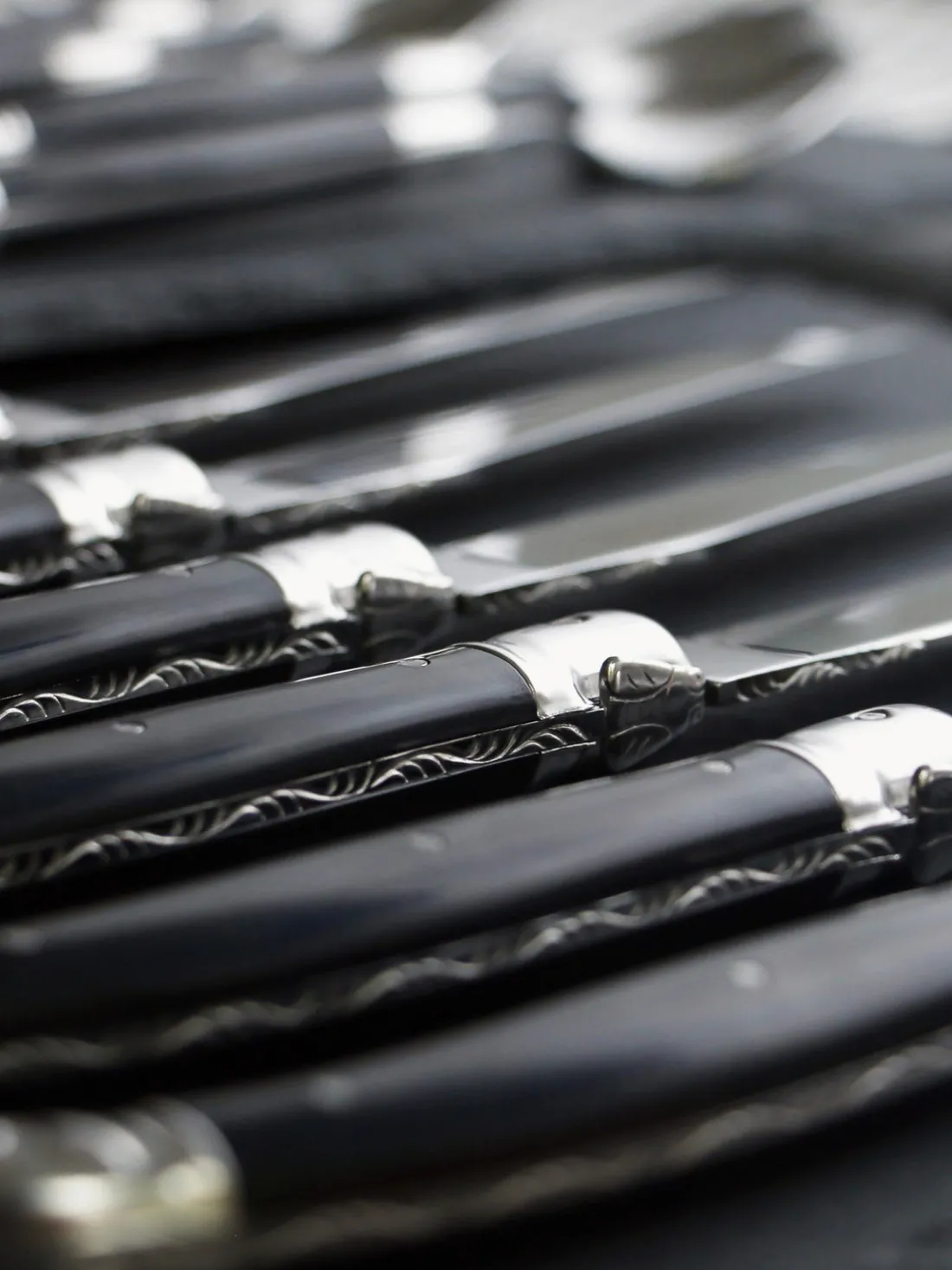 Cuchillos pulidos Essentiel Classique, 6 uds.