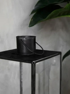 Farolillo Narrow, 61 cm