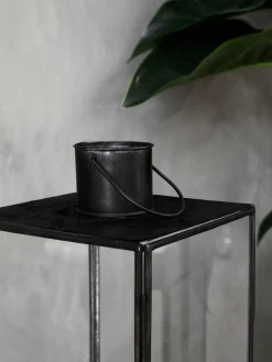 Farolillo Narrow, 79 cm