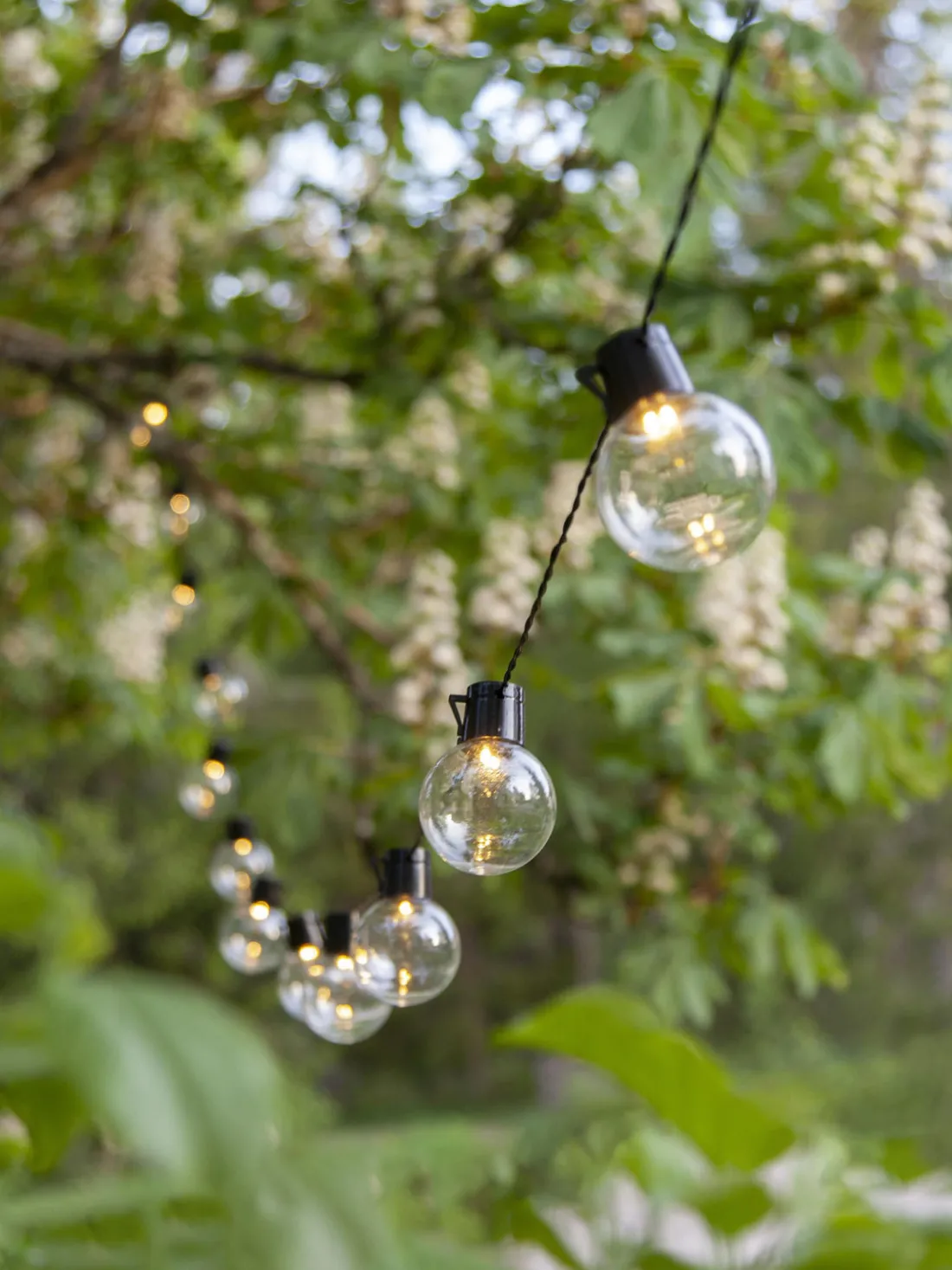 Guirnalda de luces LED para exterior Partaj, 800 cm