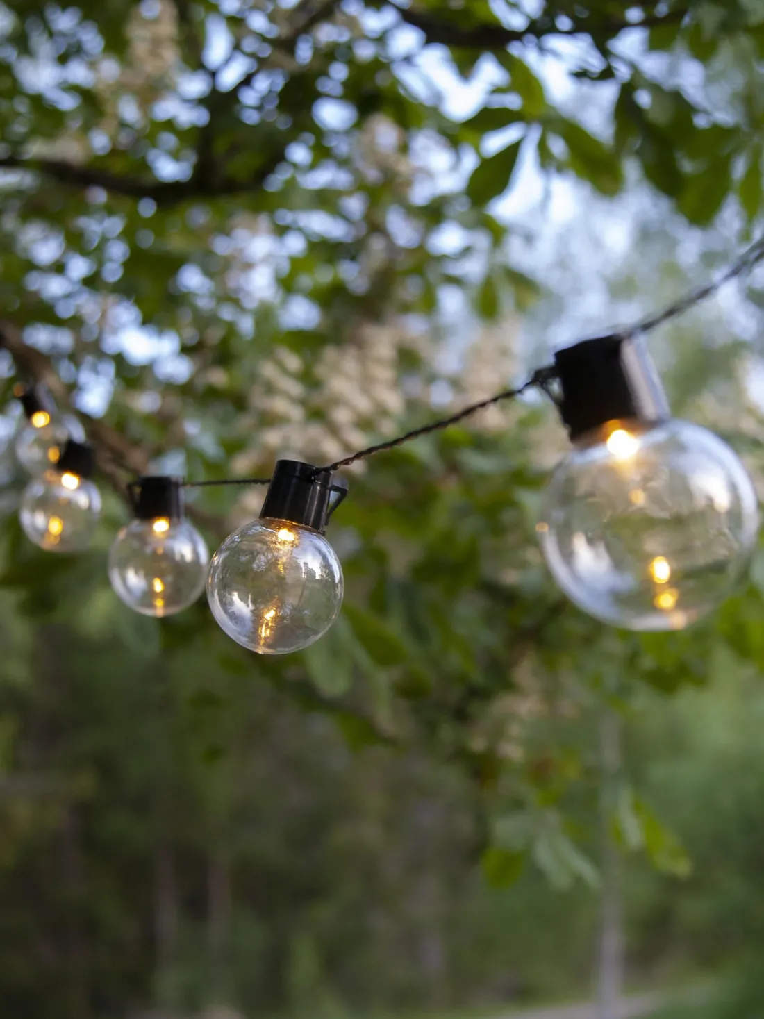 Guirnalda de luces LED para exterior Partaj, 800 cm