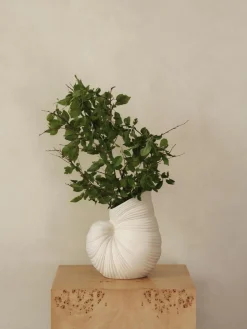 Jarrón en forma de concha Shell, 27 cm