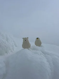 Juguete de baño artesanal Ice Protector