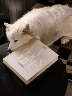 Álbum de fotos A Dog's Life