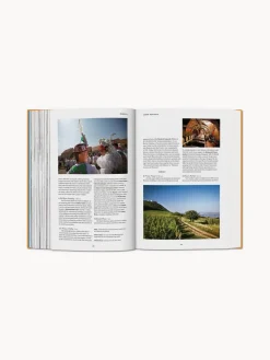 Libro ilustrado 36 Hours, Europe