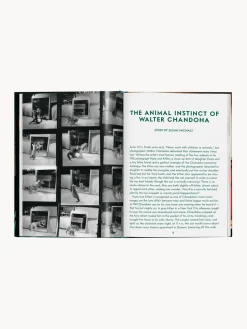 Libro ilustrado Cats. Photographs 1942–2018