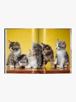 Libro ilustrado Cats. Photographs 1942–2018