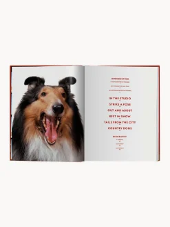 Libro ilustrado Dogs. Photographs 1941–1991