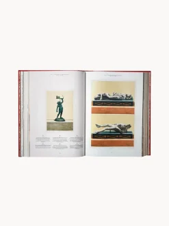 Libro ilustrado Houses and Monuments of Pompeii