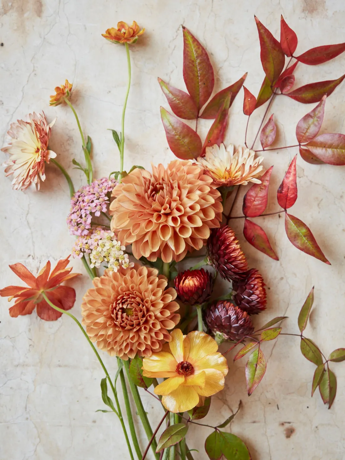 Libro ilustrado The Artistry of Flowers