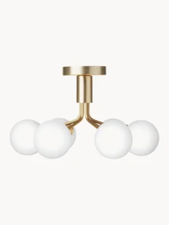 Lámpara de techo de vidrio Apiales