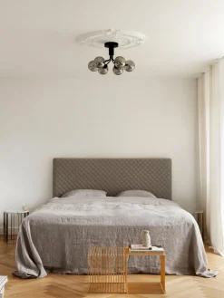 Lámpara de techo de vidrio Apiales