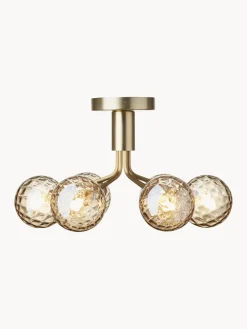 Lámpara de techo de vidrio Apiales