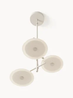 Lámpara de techo LED Maxine