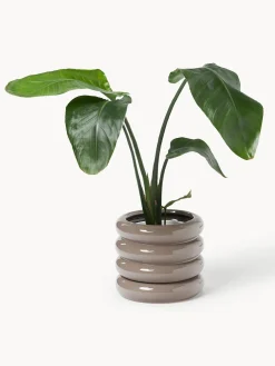 Maceta de gres pequeña Rudi, 16 cm