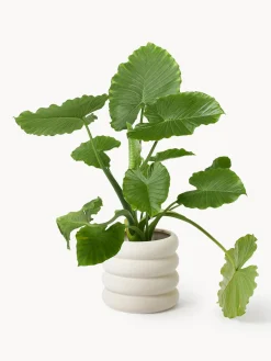 Maceta de gres Rudi, 30 cm