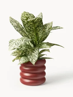 Macetero de gres Rudi, 30 x 9 cm