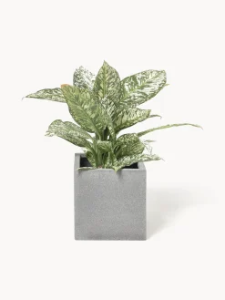 Macetero de hormigón Tuscany, 30 cm