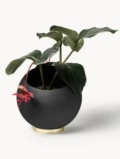 Macetero de metal Globe