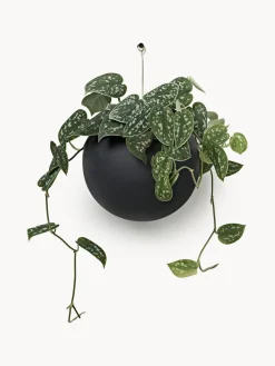 Macetero de metal para colgar Globe