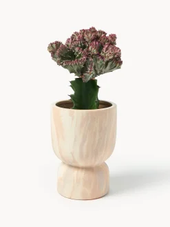 Macetero en look mármol Kiko, 20 cm