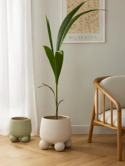 Macetero grande de dolomita Olea, Al 32 cm