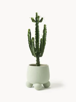 Macetero grande de dolomita Olea, 32 cm