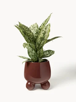 Macetero grande de dolomita Olea, 32 cm