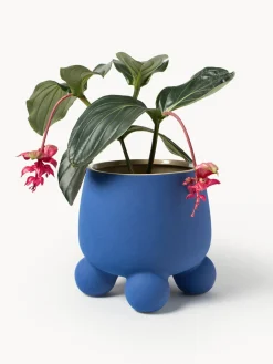 Macetero grande Olea, 32 cm