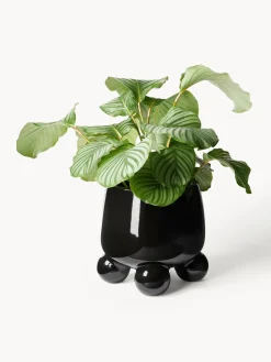 Macetero grande Olea, Al 32 cm