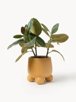 Macetero Olea, 26 cm