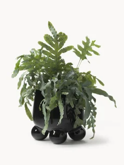 Macetero Olea, Al 26 cm