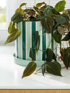 Macetero pintado a mano Clash