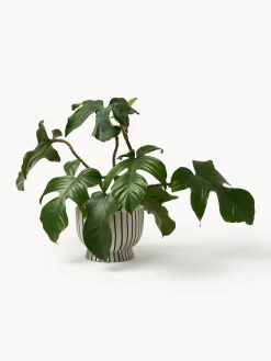 Macetero pintado a mano Elio, 18 cm