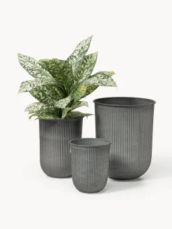 Maceteros Out Stripe, 3 uds.