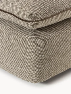 Módulo central Felix