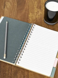 Mesa de centro de madera de nogal de forma orgánica Feve