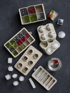 Molde para cubitos de hielo Bitz