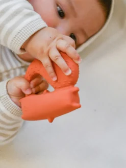 Mordedor artesanal para bebé Oli&Carol x Donna Wilson