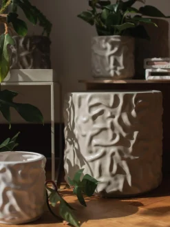 Olla grande Swoon - Mole