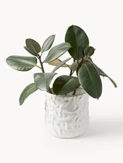 Olla mediana Swoon - Blanco brillante