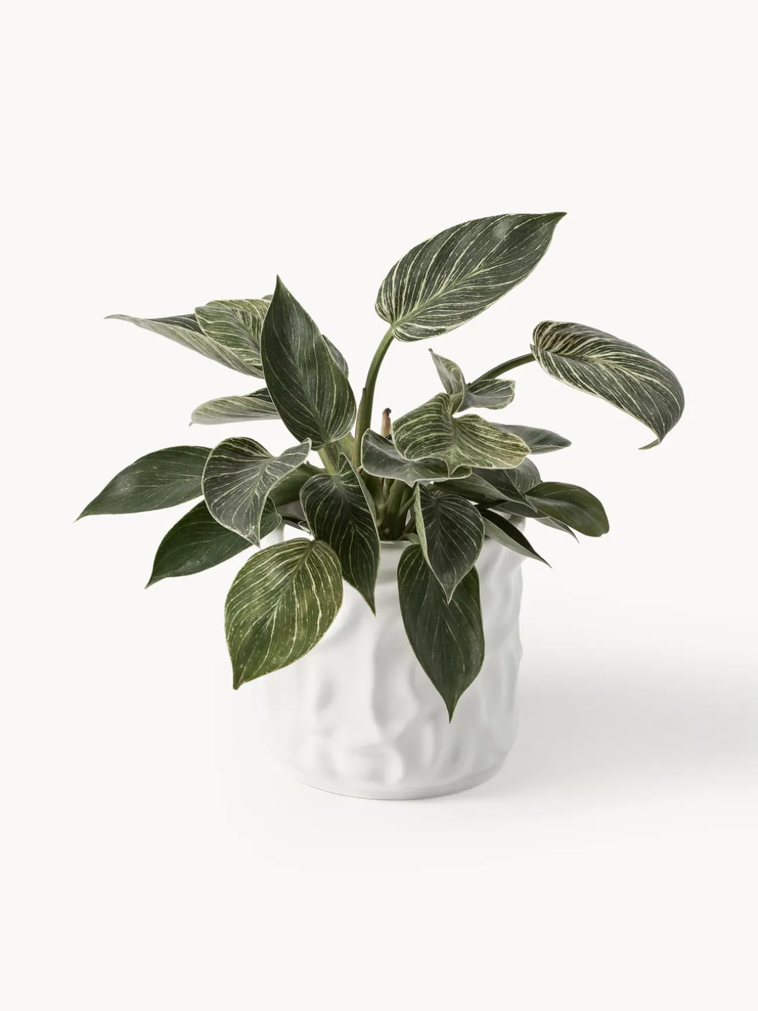 Olla pequeña Swoon - Blanco brillante